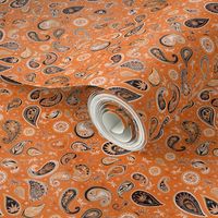 420 Hiphop Paisley Orange