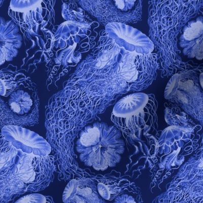 Jellyfish Swarm ~ Royal Blue and White ~ Small 