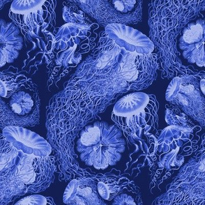 Jellyfish Swarm ~ Royal Blue and White ~ Small 