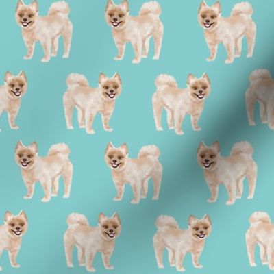 shorthaired pomeranian fabric - cute dog breeds fabric