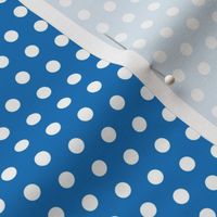 16-05b White on Blue Polka Dot_Miss Chiff Design