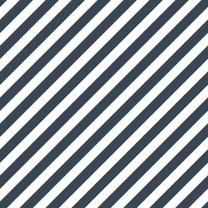 diagonal stripes // pantone 174-15