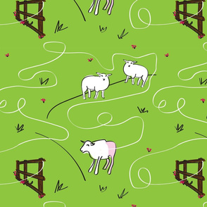 Lamb Adventures