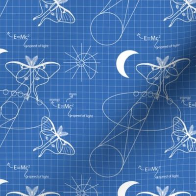 Blueprint Moon Moths, Luna Moth lg print