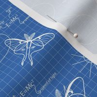 Blueprint Moon Moths, Luna Moth lg print