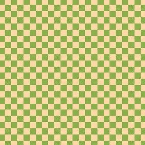Ferny Green and Cantaloupe Checkerboard