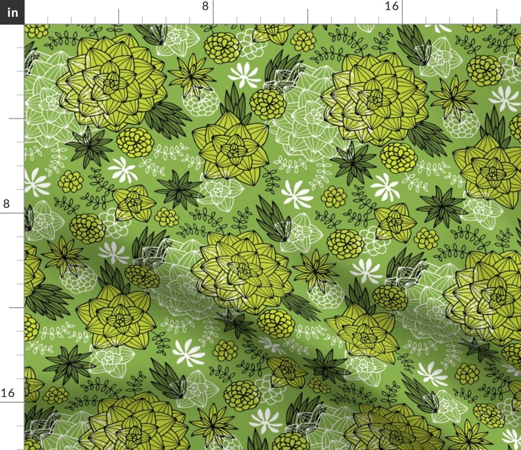 graphic succulents greenery