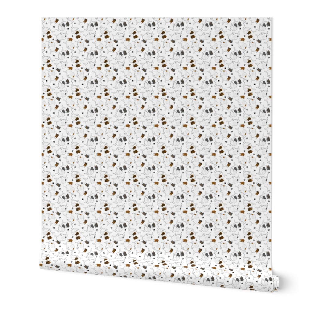 Tiny Trotting Papillons and paw prints - white