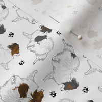 Tiny Trotting Papillons and paw prints - white