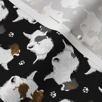 Tiny Trotting Papillons and paw prints - black