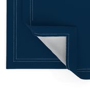 Prussian Blue Solid