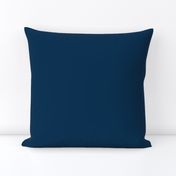 Prussian Blue Solid