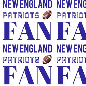 new england patriots fan