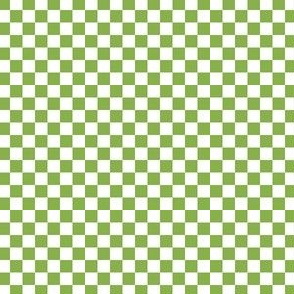 Ferny Green and Snowy White Checkerboard