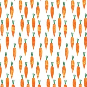 carrots (small scale)