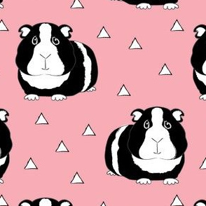 black and white guinea pigs on pink