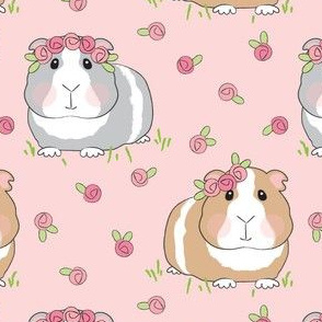 large guinea pigs and roses