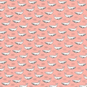 Whales on Peach Tiny Small