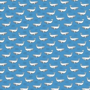 Whales on Blue Tiny Small