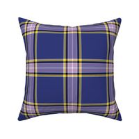 Nunavut Territory tartan, 6"