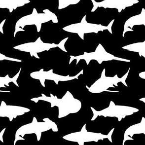 Sharks // Black