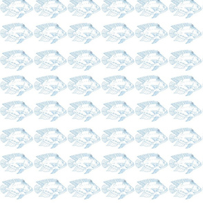 Blue fish repeat