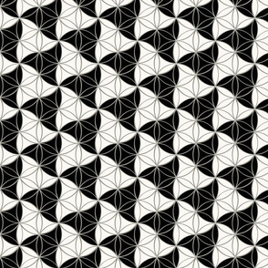 Trinity_Pattern_Black_White