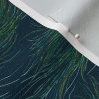 Peacock feathers in teal