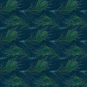 Peacock feathers in teal