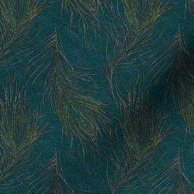 Peacock feathers on teal