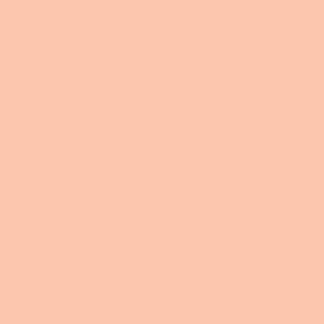 Light Apricot Block Colour || FCC5AE