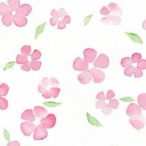 pink and pale green floral watercolor