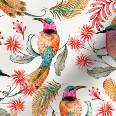 Bee eater design challenge