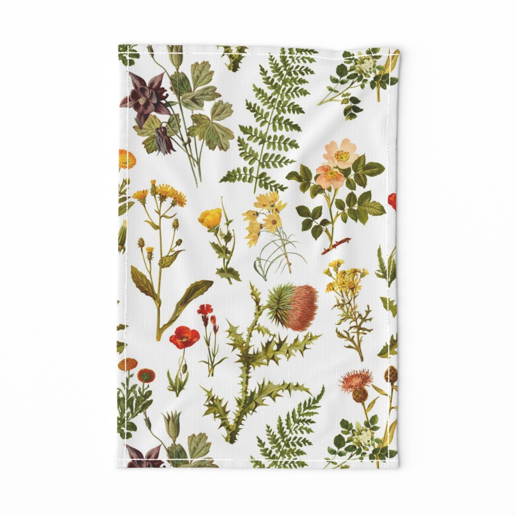 vintage_botanical_wildflowers lg.