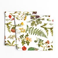 vintage_botanical_wildflowers lg.