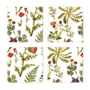 vintage_botanical_wildflowers lg.