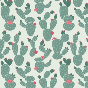 Large Cactus in Sage Green with Pink Flowers © Jennifer Garrett