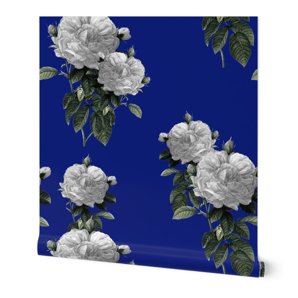 Redoute' Roses ~ Riot of  White Blooms on Bandy Blue ~ Special Version