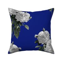 Redoute' Roses ~ Riot of  White Blooms on Bandy Blue ~ Special Version