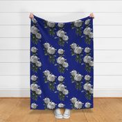 Redoute' Roses ~ Riot of  White Blooms on Bandy Blue ~ Special Version