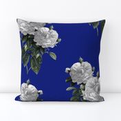 Redoute' Roses ~ Riot of  White Blooms on Bandy Blue ~ Special Version