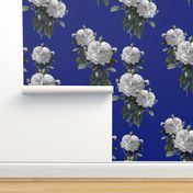 Redoute' Roses ~ Riot of  White Blooms on Bandy Blue ~ Special Version