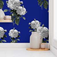 Redoute' Roses ~ Riot of  White Blooms on Bandy Blue ~ Special Version