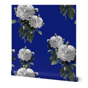 Redoute' Roses ~ Riot of  White Blooms on Bandy Blue ~ Special Version