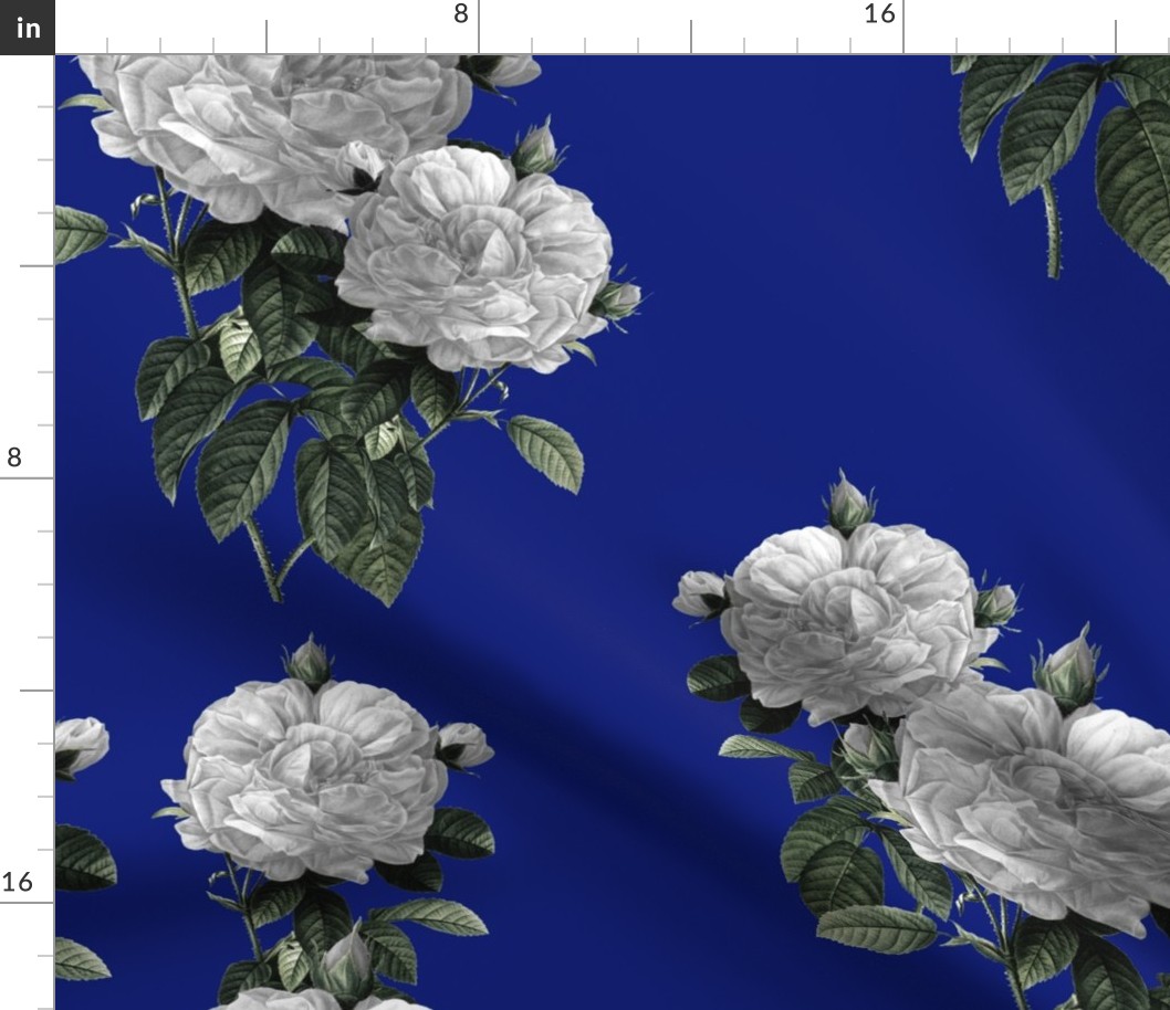 Redoute' Roses ~ Riot of  White Blooms on Bandy Blue ~ Special Version