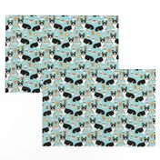 corgi tri colored corgis and coffees fabric - cute corgi design