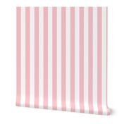 Stripes | Baby Pink and White (2.5 inch)