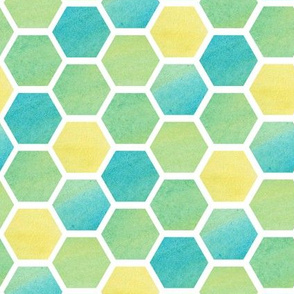 Watercolor Honeycomb