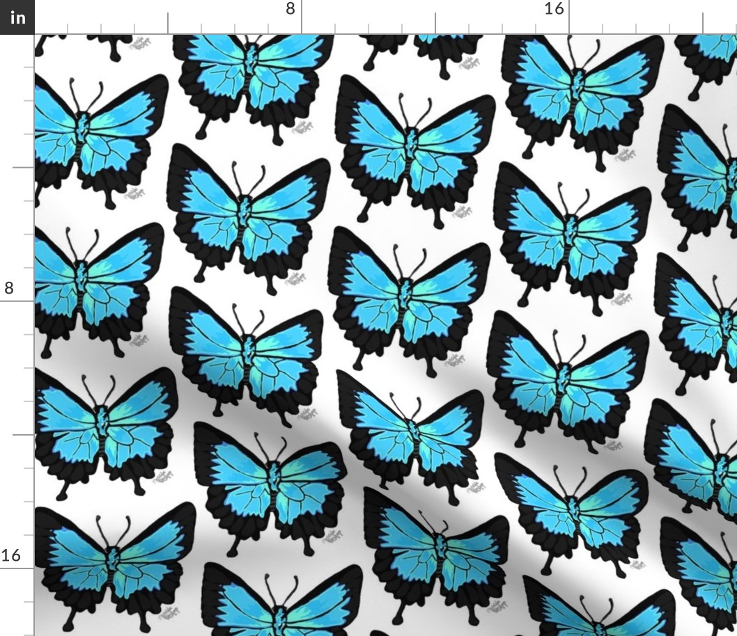 Ulysess Butterfly