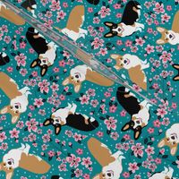 corgi spring florals fabric cherry blossom designs